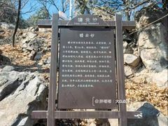 -阳台山自然风景区