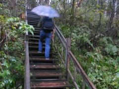 -峡谷浮石林景区