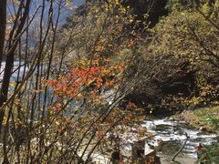 -叠溪松坪沟景区