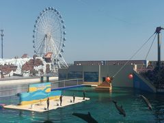 -秦皇岛乐岛海洋王国