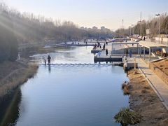 -大兴滨河森林公园