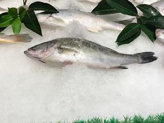 -骏莱海鲜鱼港(五角场店)