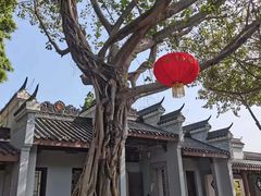 -惠州西湖丰渚园