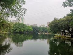 -晓港公园