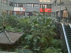 -黑龙江中医药大学附属第一医院