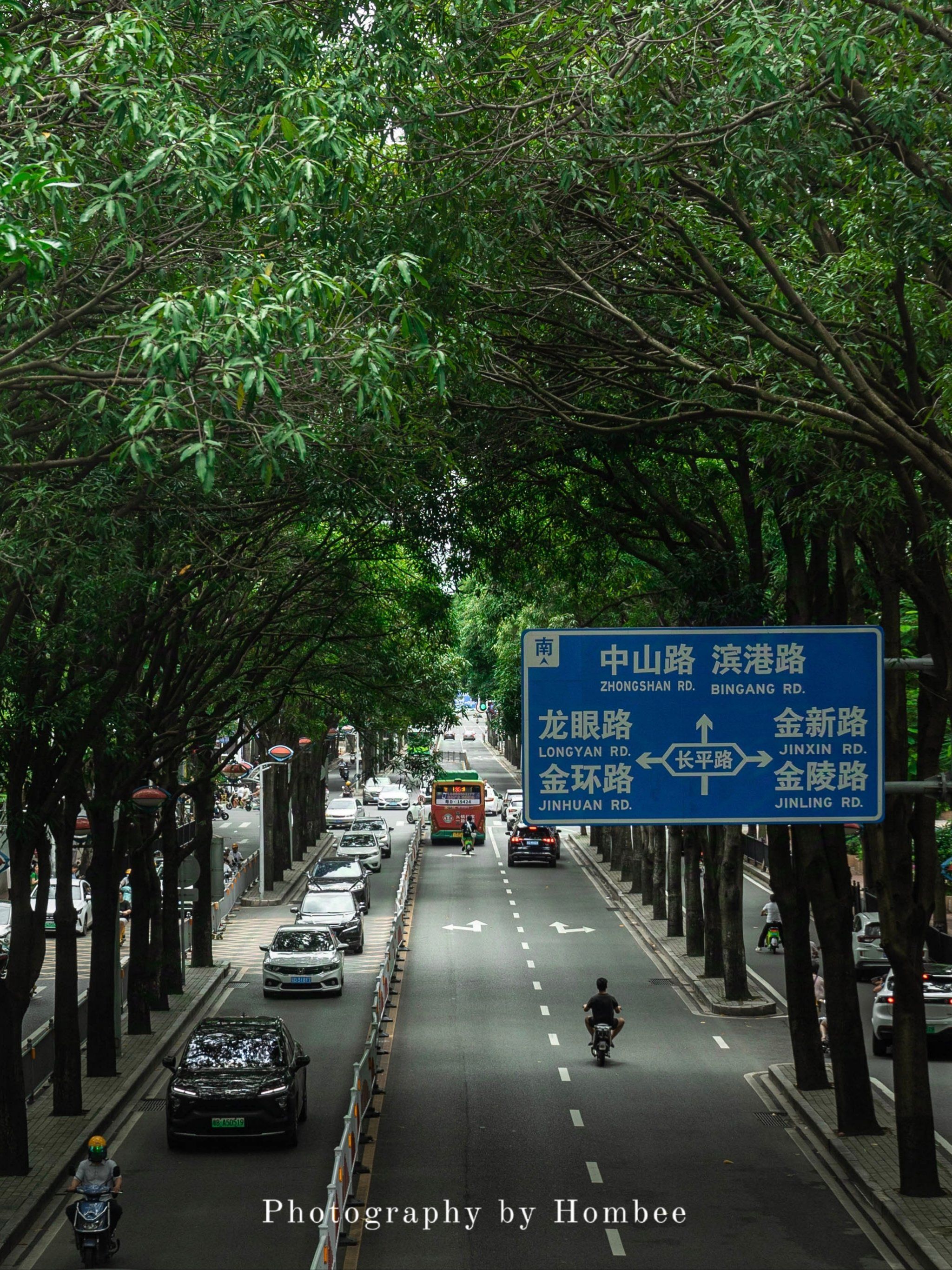 这是属于汕头的"梧桐大道"