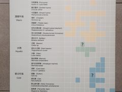 -北京周口店北京人遗址博物馆