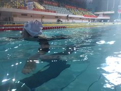 -重庆市奥林匹克体育中心-游泳跳水馆