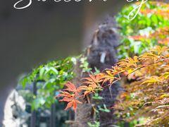 -木渎古镇