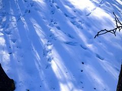 -六鼎山文化旅游区