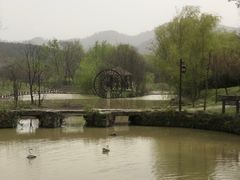-黄陂区野村谷景区
