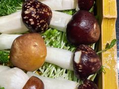 -慢丽江·云南野生菌土鸡锅(付家庄店)