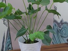 -香山湖渔家大院