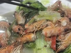-富来美食