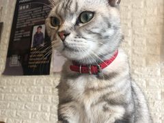-平行世界·猫咖(首经贸店)