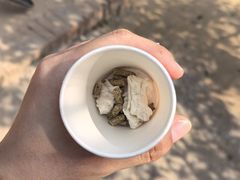 -济南野生动物世界