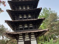 -北京世界公园