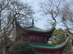 -岳麓山风景名胜区