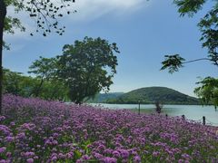 -南北湖风景区
