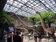 -国家自然博物馆