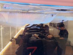 -BULB STUDIO 巴柏明星发型工作室