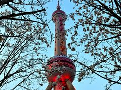 -东方明珠广播电视塔