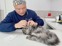 -良伴无忧宠物医院(泰欣嘉园店)