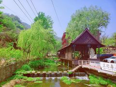 -Local泰莲庭(虹鳟鱼店)