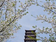 -大伊山景区
