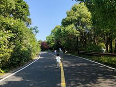 -宝界山林公园