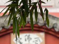-黔灵山公园