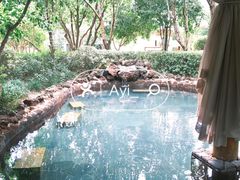 -苏州湾·王焰温泉
