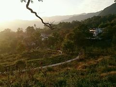 -塔川景区