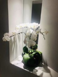 -太乙康·中式美养空间