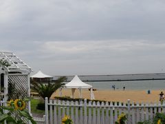 -碧海金沙