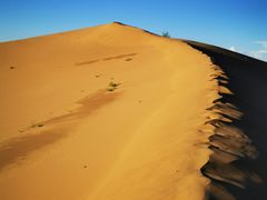 -亿利库布其七星湖沙漠生态旅游区