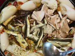 -蘑统田下·野生菌火锅