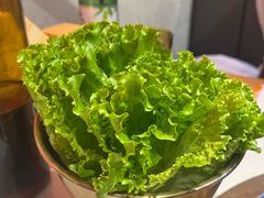 -杨记齐齐哈尔烤肉(总店)