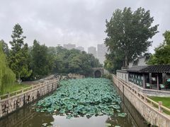 -水绘园