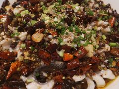 -三猫黑鱼花(南大店)
