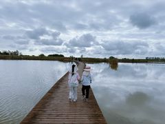 -盐城丹顶鹤湿地生态旅游区