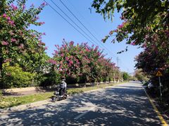 -广东花都湖国家湿地公园
