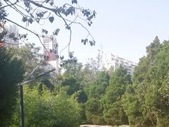 -绿岛公园(滨海新区)