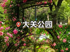 -大关公园