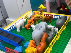 -童程童美·信息学竞赛·机器人编程·少儿编程(大钟寺校区)