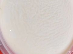 -老伴豆花(麦士威熟食中心店)