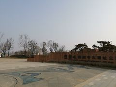 -盘龙城国家考古遗址公园