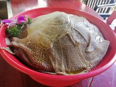 清油毛肚-二荆条·蜀鲜汇城市森林火锅