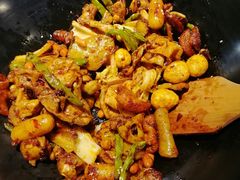 -食乐佳麻辣香锅(森林摩尔商业街区店)