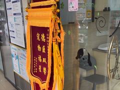 -瑞派天使宠物医院·神经外科·骨科·核磁(洛川中路店)